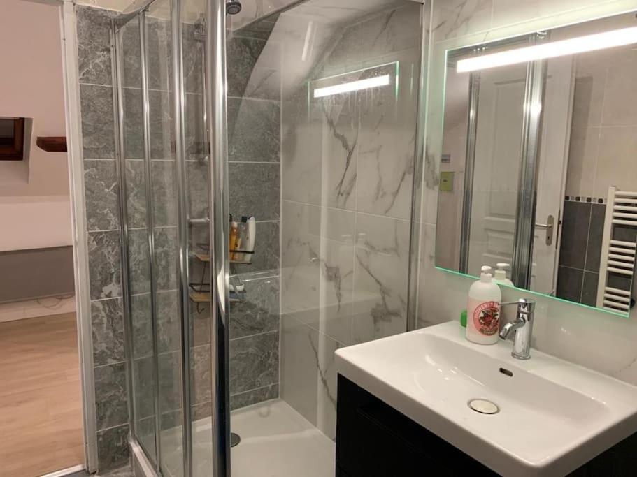 Appartement De Charme - 41M² Rosny-sur-Seine ภายนอก รูปภาพ
